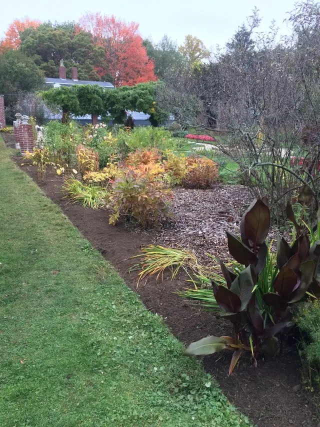 A garden border in autumn color
