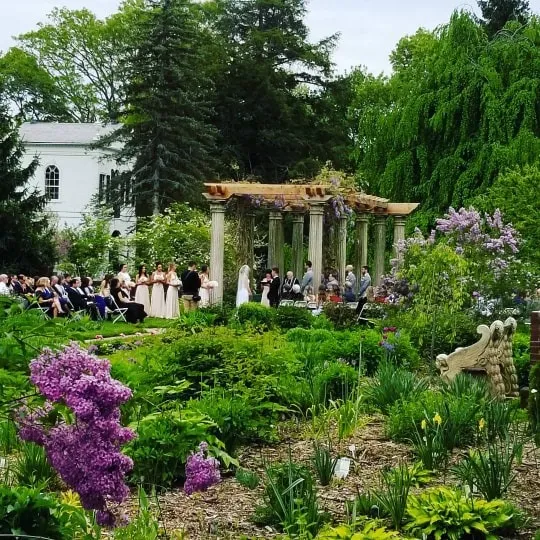 A pergola ceremony in May