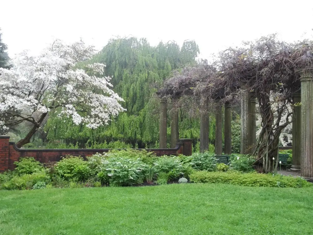 The wisteria-covered pergola and gardens